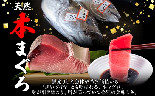 大間産 本マグロ 大トロ 約80g 柵 まぐろ 鮪 本鮪 クロマグロ マグロ 大とろ 柵取り 天然 国産 北海道産 レア 刺身 海鮮 寿司 お取り寄せ 専門店 ギフト 人気 冷凍 鮪斗 北海道 函館市_HD144-009