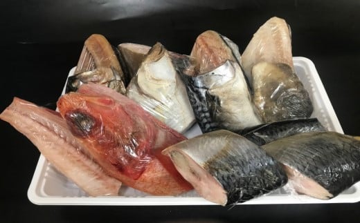 函館朝市発干し魚食べ比べセット