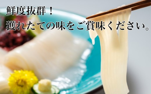 道水 いかそうめん5人前 刺身用イカソーメン