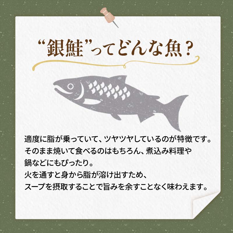 【特選】特盛一汐銀鮭切り身 約1.8kg さけ 魚介 魚 銀鮭 鮭 サケ しゃけ お弁当 おかず F4F-2250