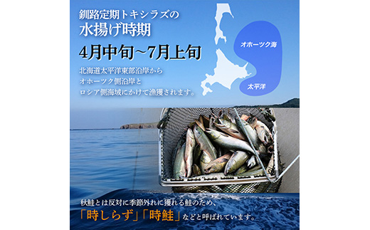 新もの 船上活じめ 釧路 定置 トキシラズ の 半身 ふるさと納税 鮭 サケ 魚 F4F-0004