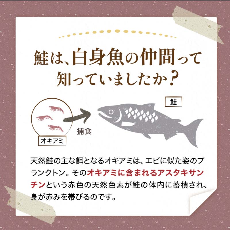 【特選】特盛一汐銀鮭切り身 約1.8kg さけ 魚介 魚 銀鮭 鮭 サケ しゃけ お弁当 おかず F4F-2250