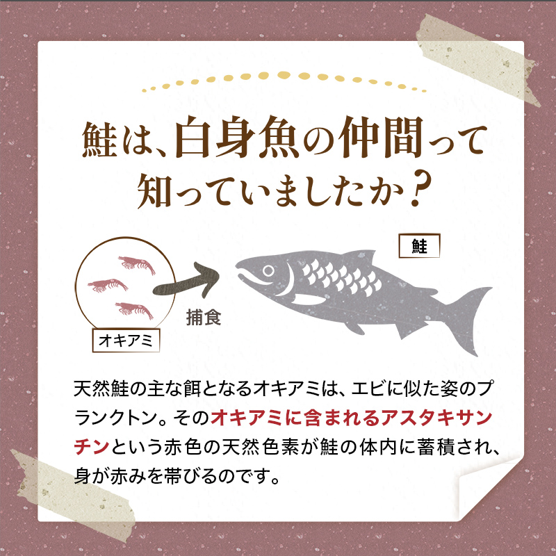 【特選】特盛銀鮭切り身 約2.4kg サケ さけ 銀鮭 ぎんしゃけ ご飯のお供 北海道 海産物 魚 お弁当 おかず 朝食 F4F-2251