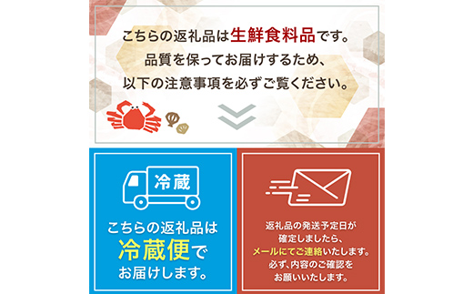 【北海道産・極上・列盛】えぞバフンうに（折）100g 北海道 釧路 ふるさと納税 うに 雲丹 魚介類 海産物 高級 贈答用 豪華 F4F-0637