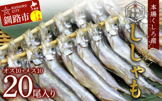 本場くしろ産 ししゃもオス・メス20尾入り！ 本ししゃも 魚 ししゃも 魚好きのオス プチプチたまごのメス 魚介 グルメ シシャモ 北海道産 国産 魚 魚介 海の幸 F4F-5537