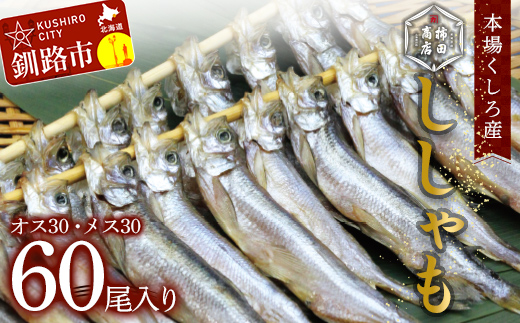 本場くしろ産 ししゃもオス・メス60尾入り！ 本ししゃも 魚 ししゃも 魚好きのオス プチプチたまごのメス 魚介 グルメ シシャモ 北海道産 国産 魚 魚介 海の幸 F4F-5540