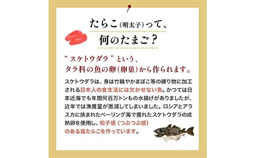 【 訳あり 】辛子明太子(切子)500g 食べ比べ タラコ 明太 たらこ 海鮮 おかず ご飯のお供 規格外 家庭用 切子 小分け F4F-5546