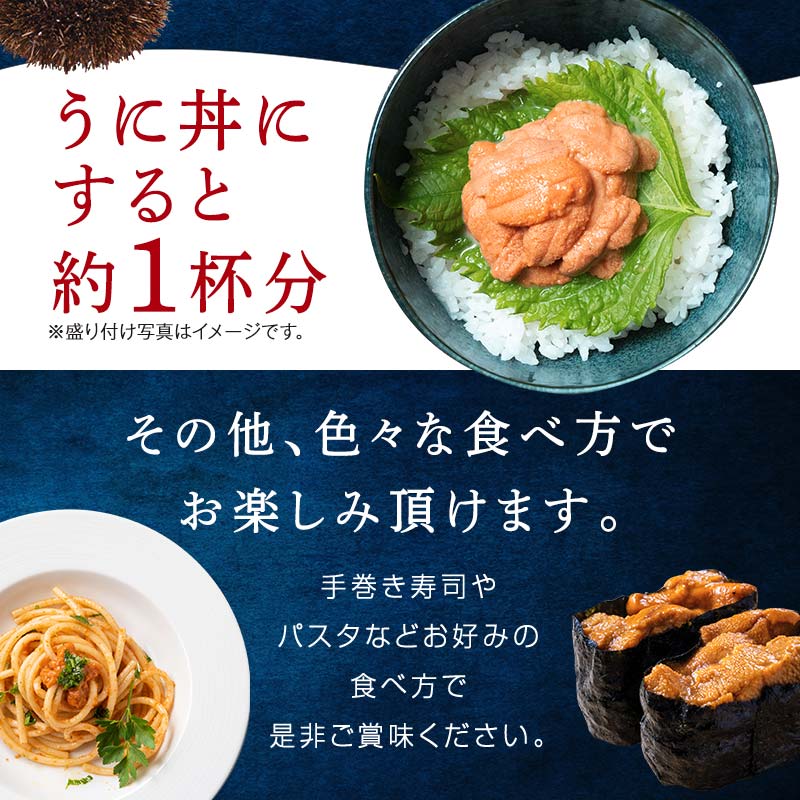 【特選】塩水ウニ 100g（エゾバフンウニ） うに 雲丹 ミョウバン不使用 海鮮丼 寿司 冷蔵 F4F-0313