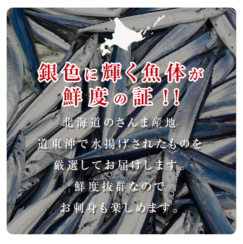 今が旬!!（鮮度抜群!!釧路産） 鮮さんま 18～20尾（約2kg） さんま 秋刀魚 サンマ 新鮮 魚 鮮魚 海産物 旬 産地直送 北海道 釧路 2kg F4F-0607