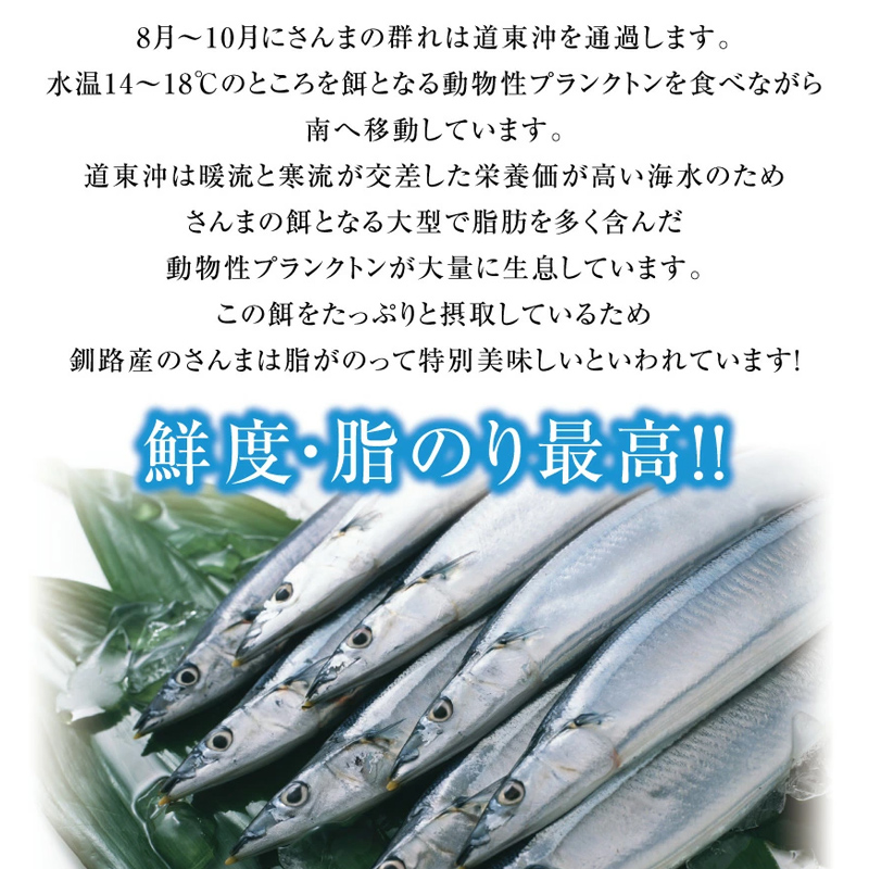 今が旬!!（鮮度抜群!!釧路産） 鮮さんま 18～20尾（約2kg） さんま 秋刀魚 サンマ 新鮮 魚 鮮魚 海産物 旬 産地直送 北海道 釧路 2kg F4F-0607