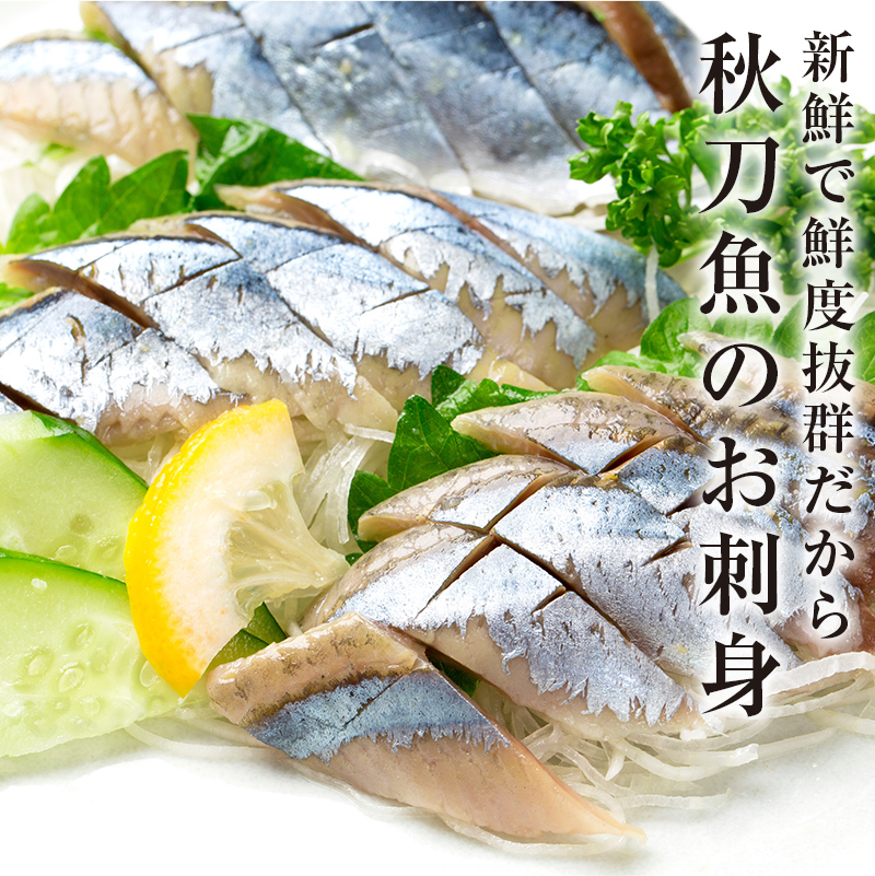 今が旬!!（鮮度抜群!!釧路産） 鮮さんま 8～10尾 さんま 秋刀魚 サンマ 新鮮 魚 鮮魚 海産物 旬 産地直送 北海道 釧路 F4F-0606