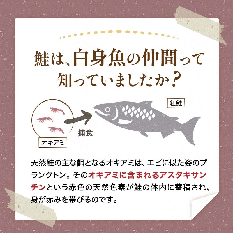 天然紅鮭切り身（1袋4切入り200g×4袋） さけ サケ しゃけ 紅サケ 魚 ご飯のお供 お弁当 おかず 北海道 海産物 F4F-3913