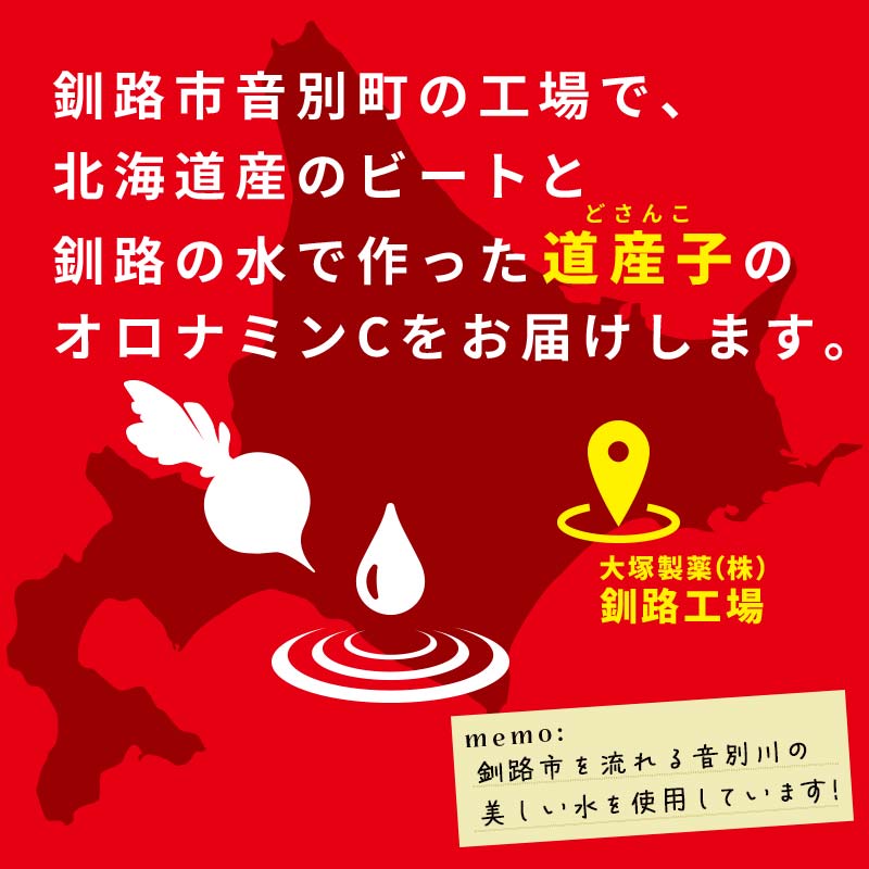 【定期便3か月】オロナミンＣ 10本×3 計30本 小分け 北海道 オロナミン 常温 備蓄 ふるさと納税 炭酸飲料 F4F-5666