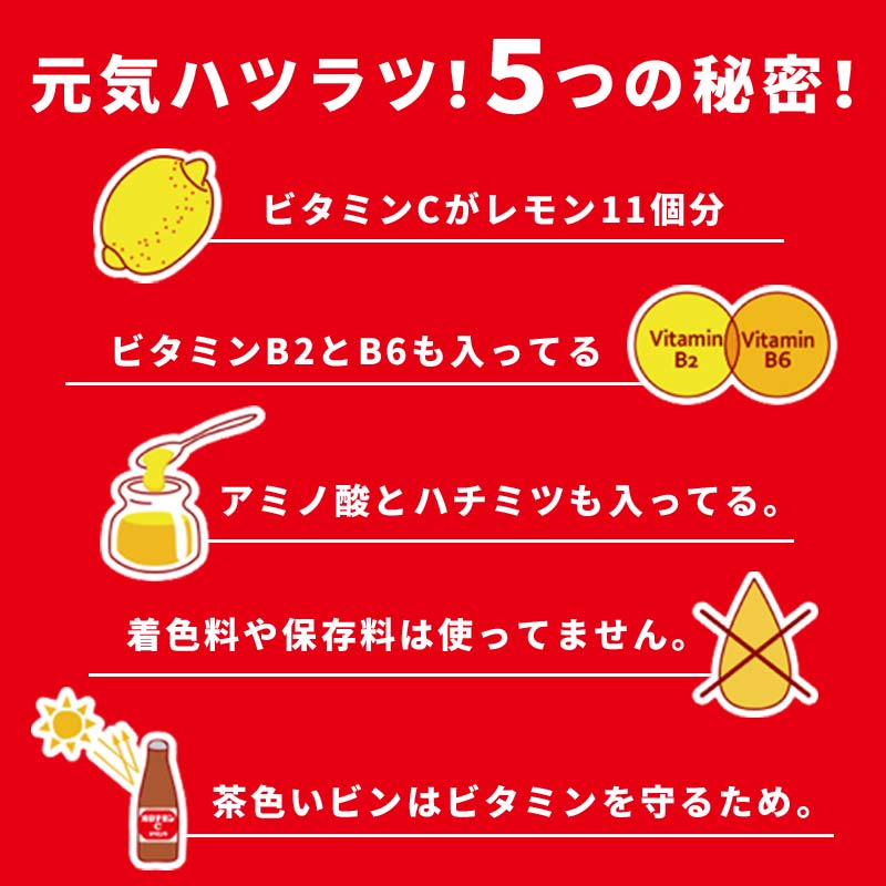 【定期便3か月】オロナミンＣ 10本×3 計30本 小分け 北海道 オロナミン 常温 備蓄 ふるさと納税 炭酸飲料 F4F-5666