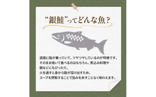 銀鮭 3切×12ハ?ック 計36切れ 朝ごはんやお弁当に 銀鮭 36切れ 真空保存 甘塩 銀鮭 鮭 しゃけ サケ さけ ご飯のお供 朝食 真空 朝食 お弁当 おかず 小分け 大容量 F4F-2064