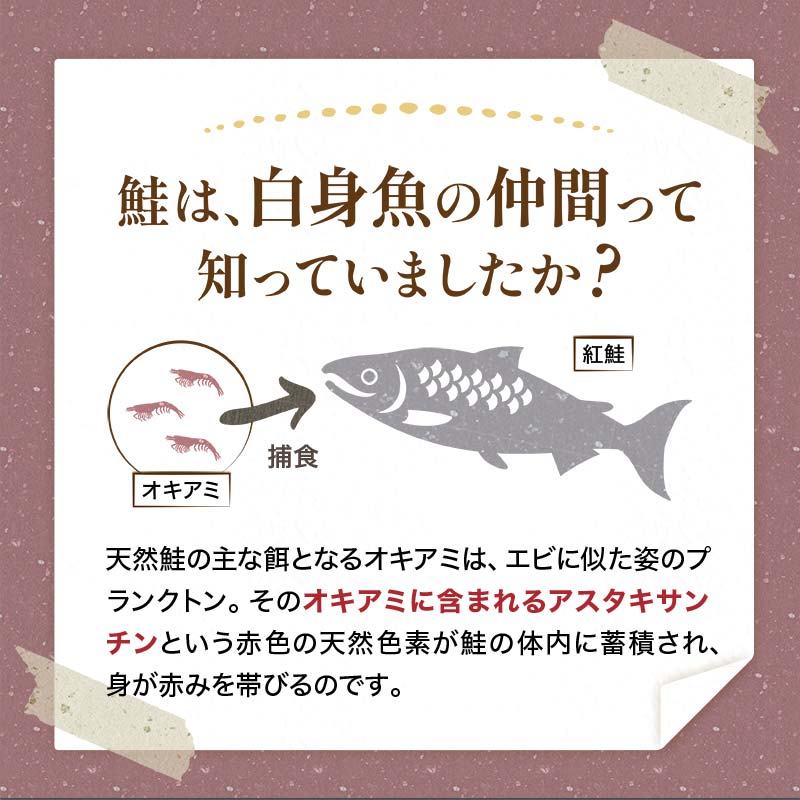 【特選】天然紅鮭切り身（500g真空×4袋）さけ サケ 紅さけ おかず ご飯のお供 お弁当 真空 釧路 北海道 海産物 F4F-3920