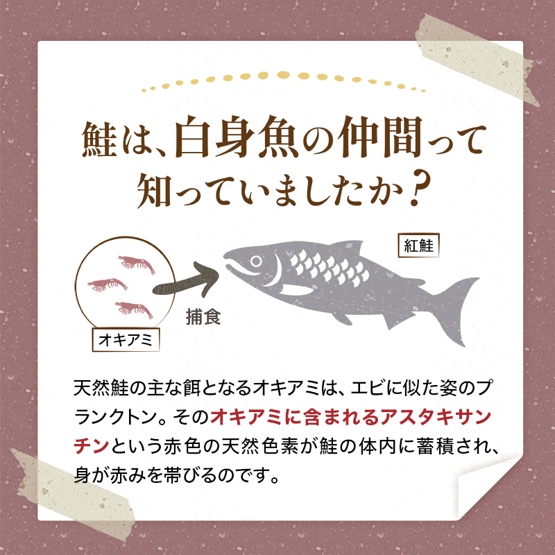 【特選】天然甘塩紅鮭 2切×9袋 真空 鮭 さけ サケ 魚 魚介 海鮮 北海道 釧路 F4F-2125