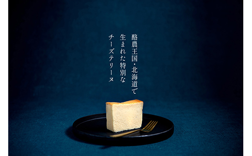 北海道産100% チーズテリーヌ（600g×2箱）スイーツ バレンタイン ホワイトデー デザート ケーキ 菓子 F4F-2626