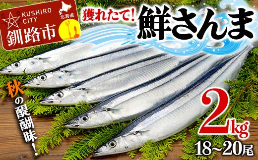 獲れたて鮮さんま 2kg （18～20尾）さんま 秋刀魚 サンマ 新鮮 魚 鮮魚 海産物 旬 北海道 釧路 F4F-3229