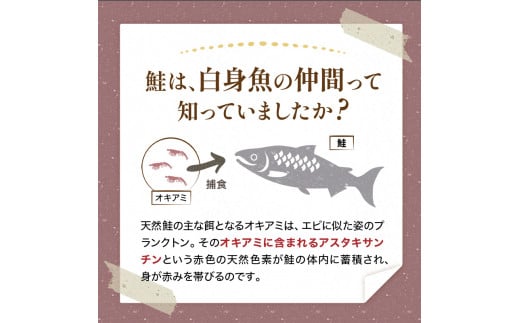 小分け 真空保存 紅鮭 銀鮭 食べ比べ 計18切 紅鮭 × 3切れ ×3パック 銀鮭 × 3切れ×3パック しゃけ シャケ さけ サケ お弁当 おかず 魚 海鮮 F4F-2211