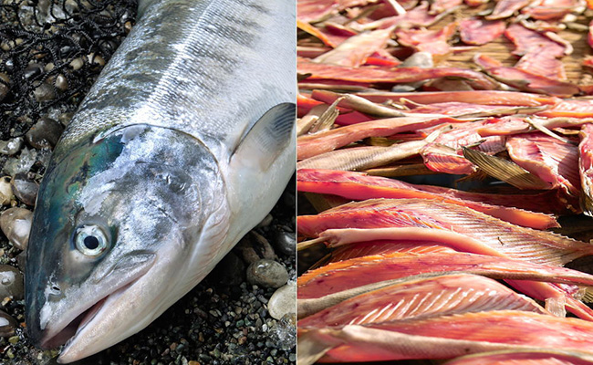 鮭（北海道産）とばスライス1.0kg ふるさと納税 鮭とば 乾物 F4F-0395