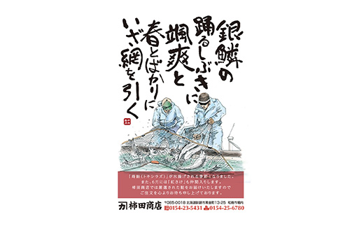 新もの 船上活じめ 釧路 定置 トキシラズ 1本 ふるさと納税 鮭 サケ 魚 F4F-2439