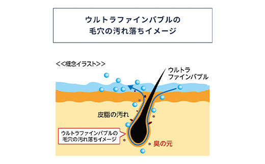 バブルマイスター 全自動洗濯機用・バブルマイスター シャワーヘッドセット ウルトラファインバブル  工事不要 お風呂 バス用品 バスグッズ  毛穴 美容 洗濯機 洗濯槽 生乾き 臭い 頑固な汚れ 日本製 F4F-2631