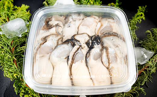 鮮度抜群！釧路管内産濃厚むき牡蠣（生食用）300g×1 ふるさと納税 かき 牡蠣 F4F-0017