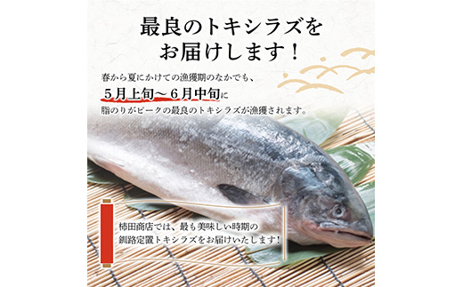 新もの 船上活じめ 釧路 定置 トキシラズ 1本 ふるさと納税 鮭 サケ 魚 F4F-4667