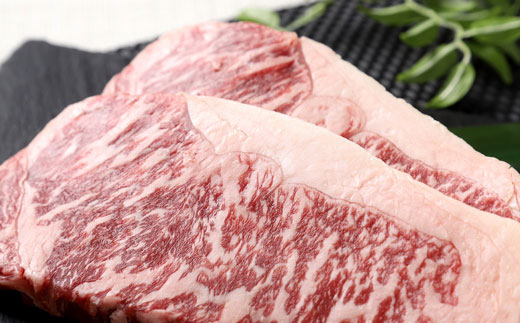 北海道産牛リブロース ステーキ用200g×2枚（F1） ふるさと納税 肉 F4F-0823