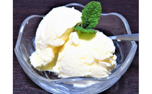 【業務用】JA稚内のおいしいアイスクリーム 宗谷の塩2000ml＆【お試し】お刺身用ほたて50g【22500】