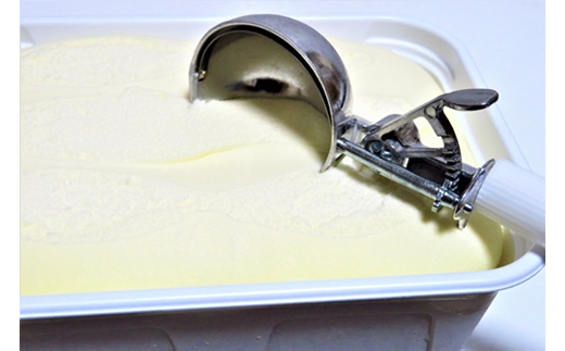 【業務用】稚内牛乳アイスクリーム2000ml バニラ×チョコ2個セット【22310】