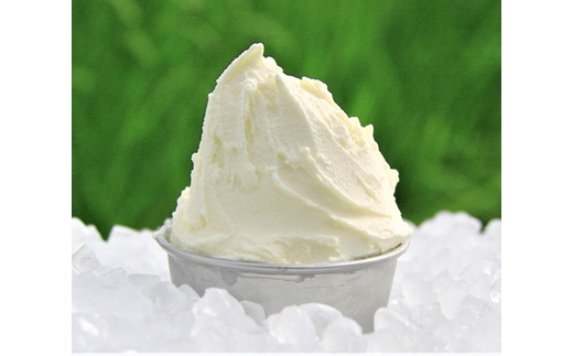 【業務用】稚内牛乳アイスクリーム2000ml 宗谷の塩×宗谷の塩2個セット【22603】