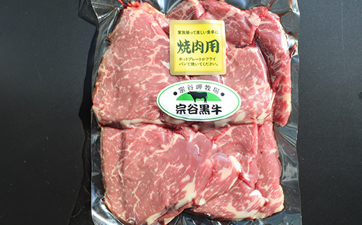 【稚内ブランド認定】宗谷黒牛もも肉　BBQ用【22533】