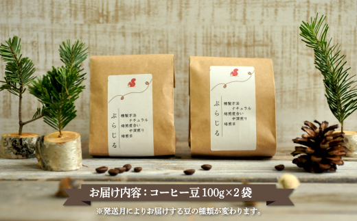 月替りスペシャルティコーヒー豆（200g）定期便6ヶ月【06009】