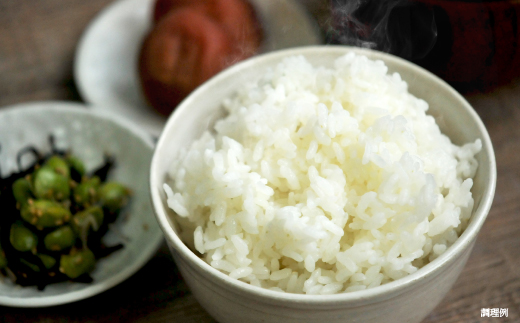 《令和4年産》三笠産のおいしい米 ななつぼし(10kg)【01014】