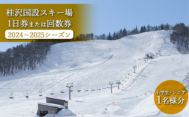 桂沢国設スキー場1日券または回数券(2024～2025シーズン)小学生・シニア1名様分【13010】