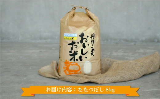 令和3年産三笠産のおいしい米 ななつぼし(8kg)【01092】