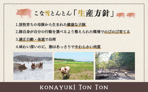 北海道雪国放牧豚こな雪とんとんフランクフルト・ソーセージセット【190062】