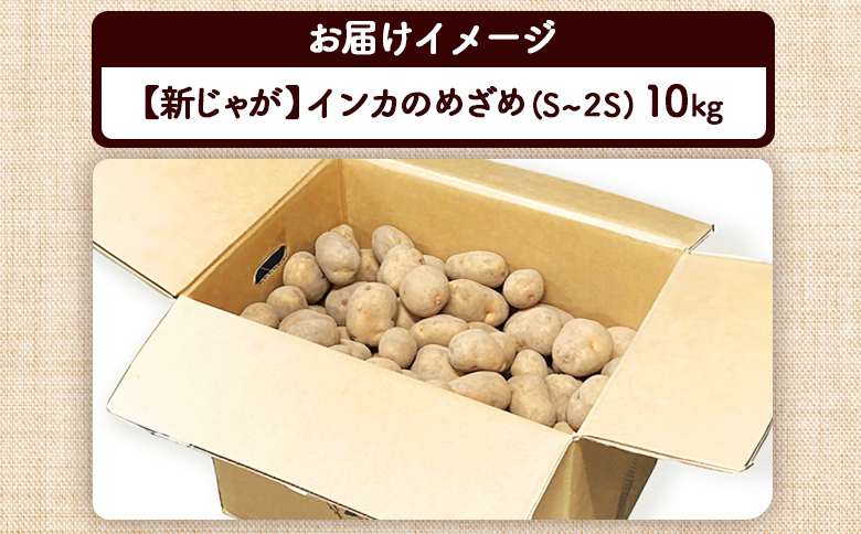 【新じゃが】インカのめざめ（S〜2S）　10ｋｇ【83000701】