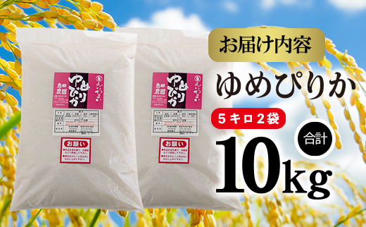 【定期便：全6回】北海道米「恵庭産たつやのゆめぴりか」5kg×2袋【56000501】