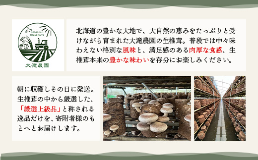 【先行予約】《数量限定》北海道恵庭産生しいたけ24個（桐箱入り）【800002】