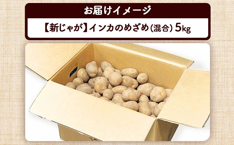 【新じゃが】インカのめざめ混合5ｋｇ【83000901】