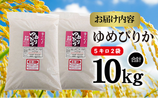 【定期便：全3回】北海道米「恵庭産たつやのゆめぴりか」5kg×2袋【56000301】