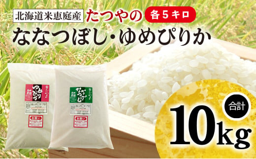 【定期便：全6回】北海道米「恵庭産たつやのななつぼし・ゆめぴりか」各5kgセット【56000401】