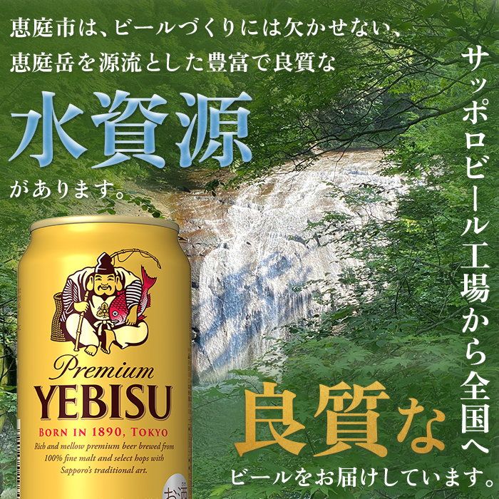 【期間限定】サッポロ　ヱビスビール　48本（350ml×24本×2箱）【300176】