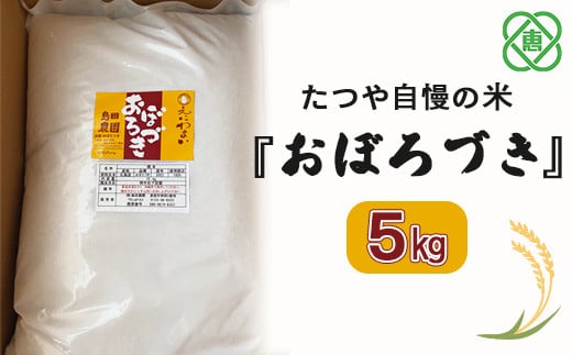 令和6年度産【北海道産】『11月より発送』たつや自慢の米『おぼろづき』5kg【35001501】