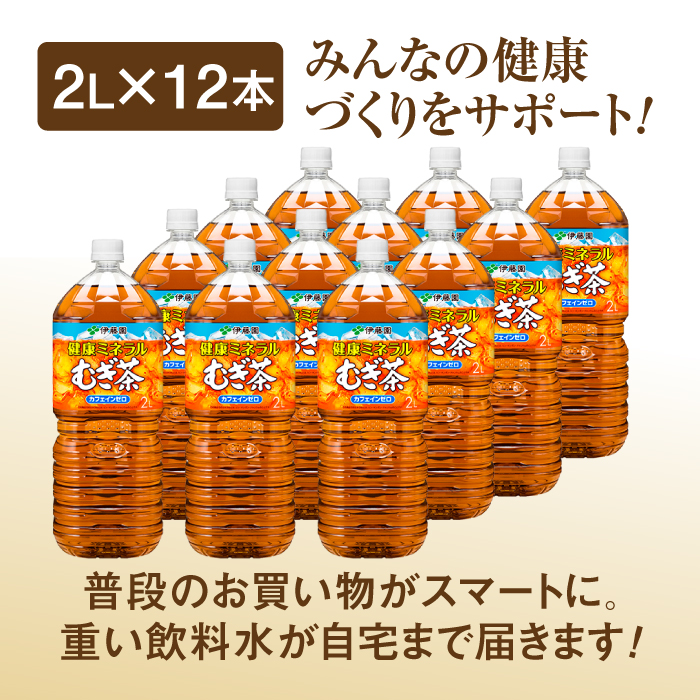 『定期便：全3回』健康ミネラル麦茶2L×6本×2箱【50010】