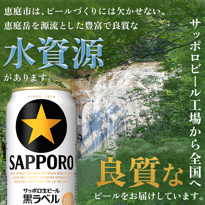 【期間限定】サッポロ　黒ラベル　48本（350ml×24本×2箱）【30017501】