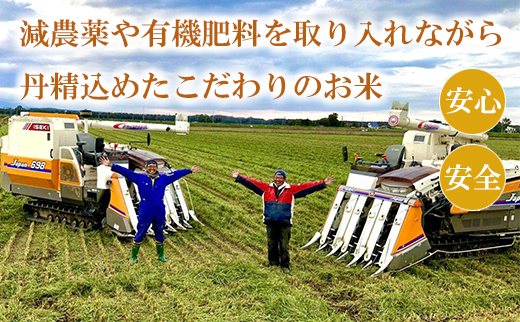 【定期便3ヶ月】北海道米「恵庭産たつやのゆめぴりか」5kg×2袋【560003】